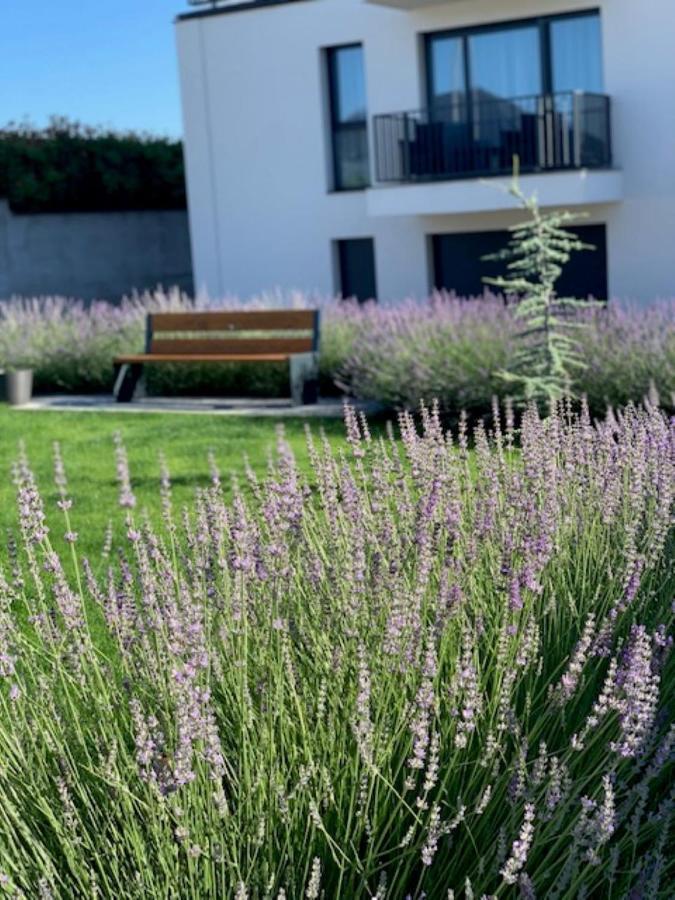 Paskom Apartmanház Nyergesujfalu Exterior foto